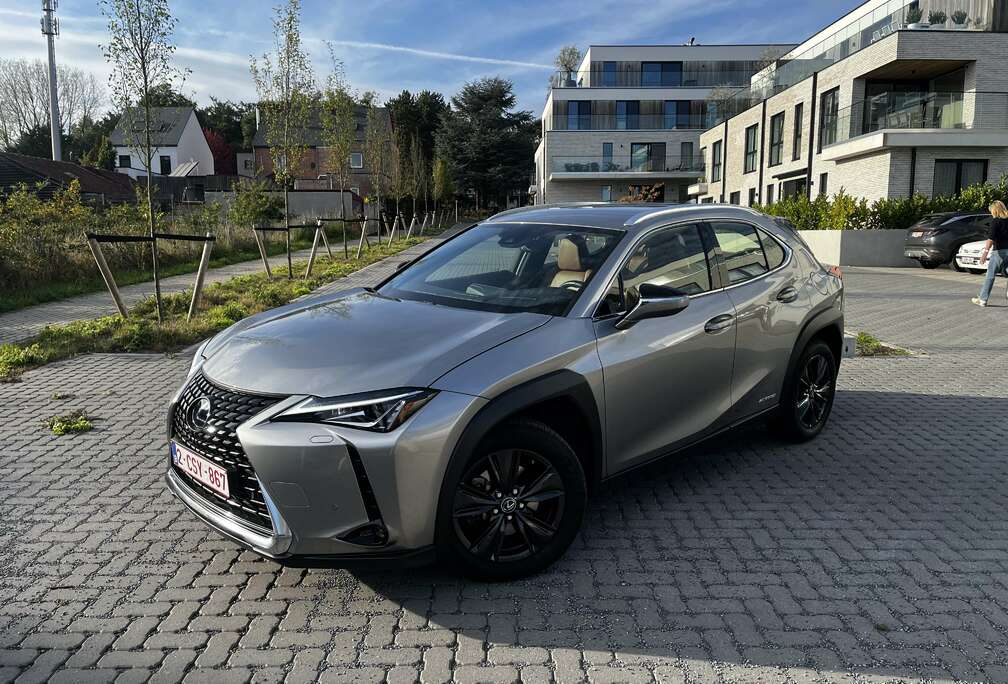 Lexus Executive Line