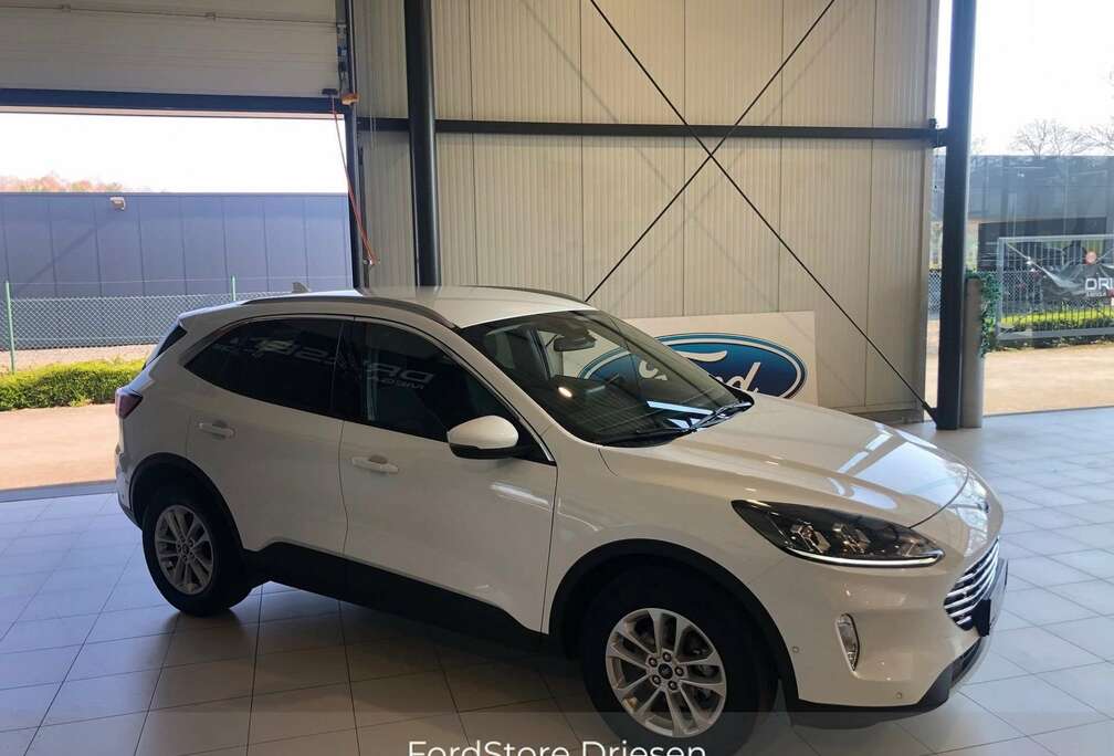 Ford Titanium FHEV AUT  BIJ DRIESEN BREE  089/461610