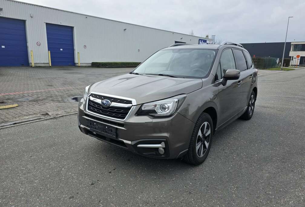 Subaru (Stock ID 77646)