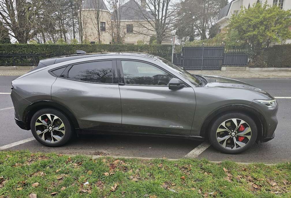 Ford Mustang Mach-E  AWD  371cv