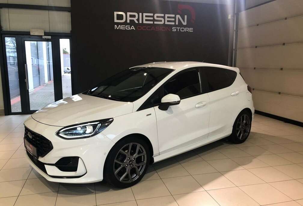 Ford EcoBoost mHEV ST-Line X BIJ DRIESEN BREE