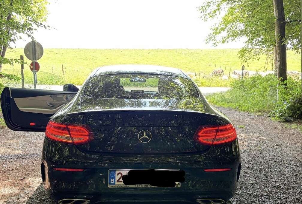 Mercedes-Benz Coupe d 4-Matic