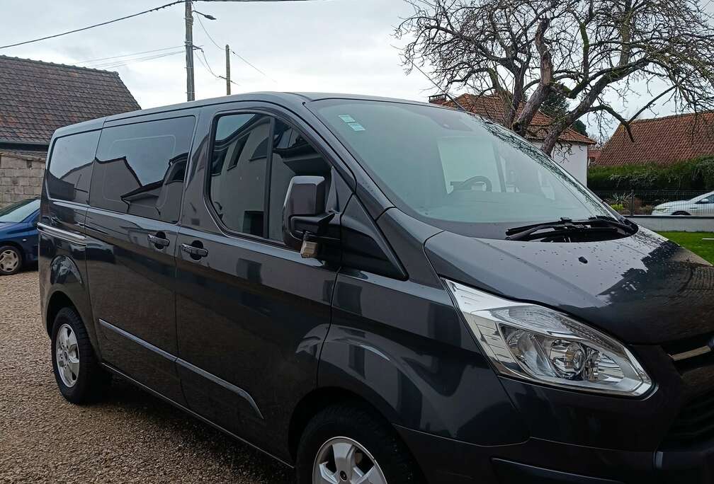 Ford Transit custom court