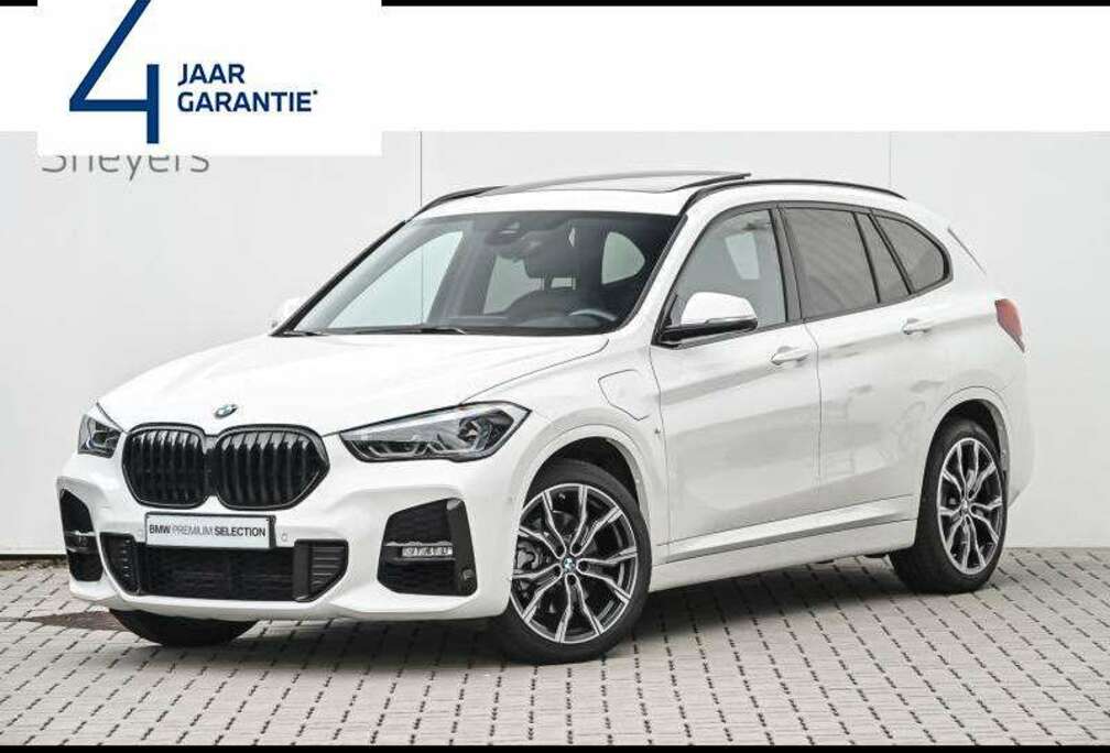 BMW xDrive25e