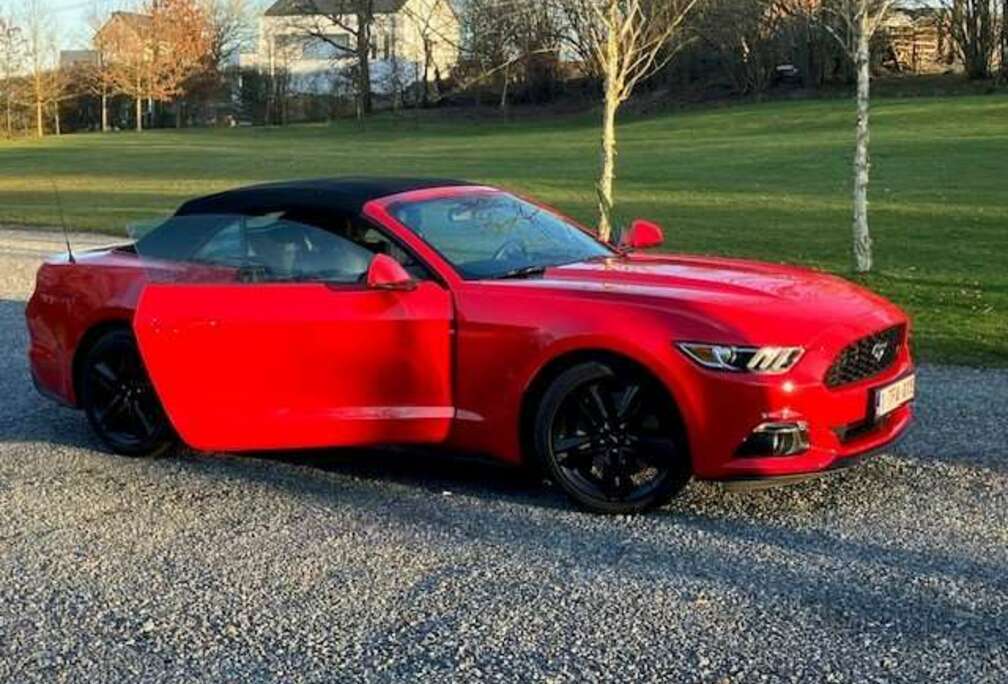 Ford Mustang Cabrio 2.3 Eco Boost