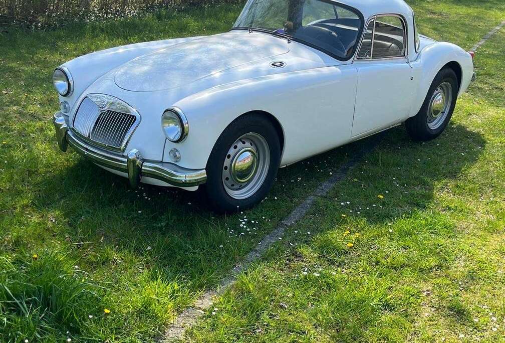 MG