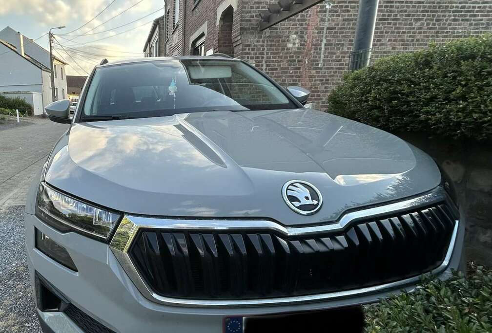Skoda 1.0 TSI Clever