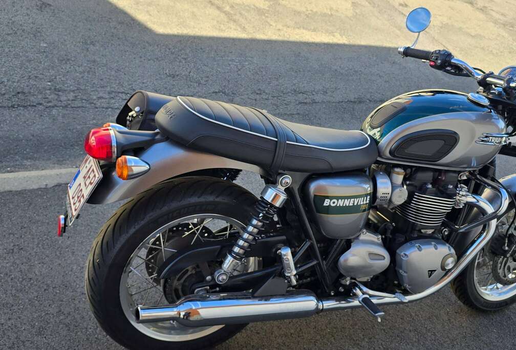 Triumph Goldline