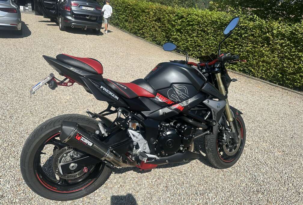 Suzuki Scorpion