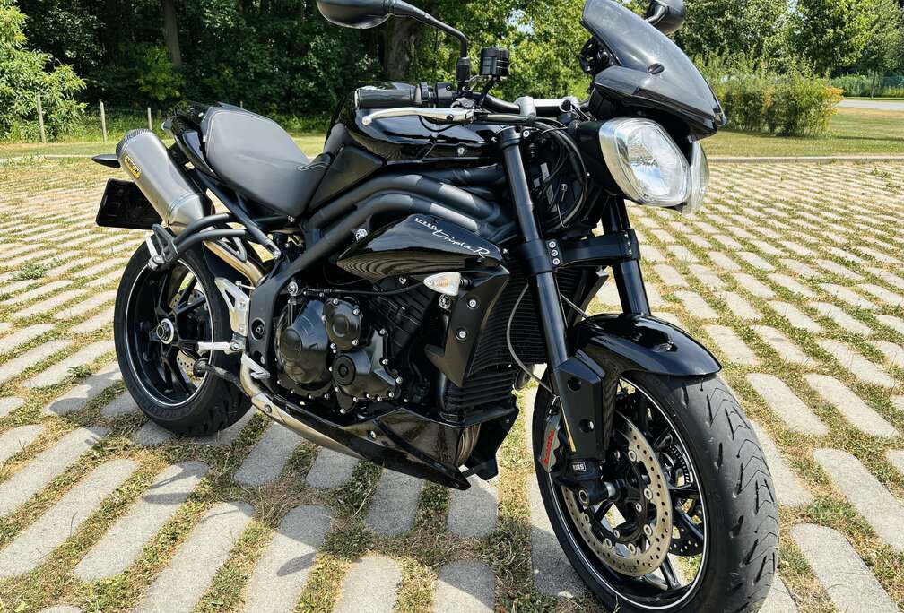 Triumph Edition Collector - 94R