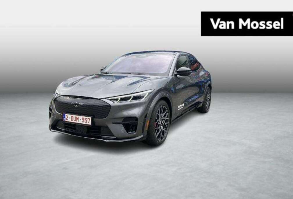 Ford GT AWD 99kWh - 489pk - 490km Range -