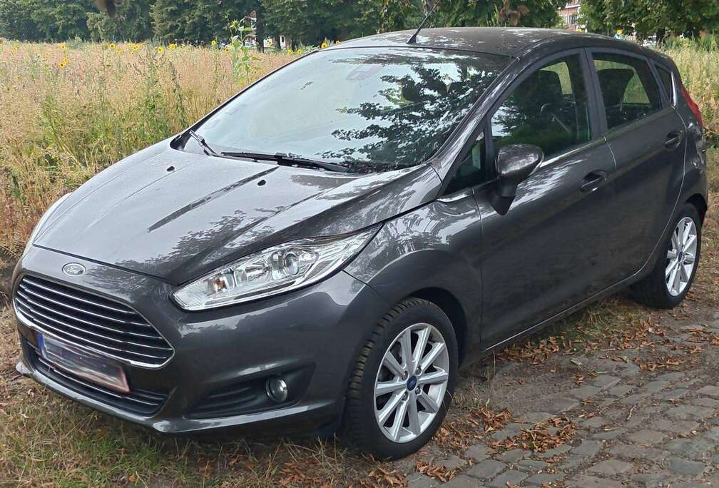 Ford Fiesta 1.0 EcoBoost Titanium S/S
