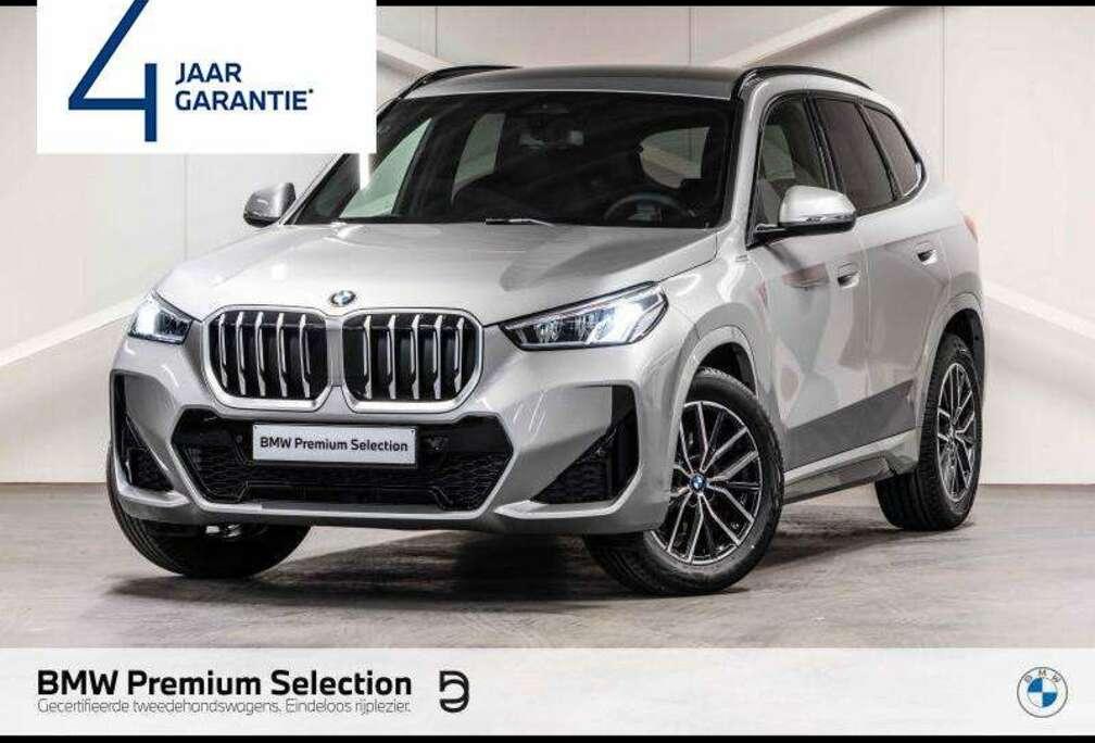 BMW Space Silver X1, exactly how it should be