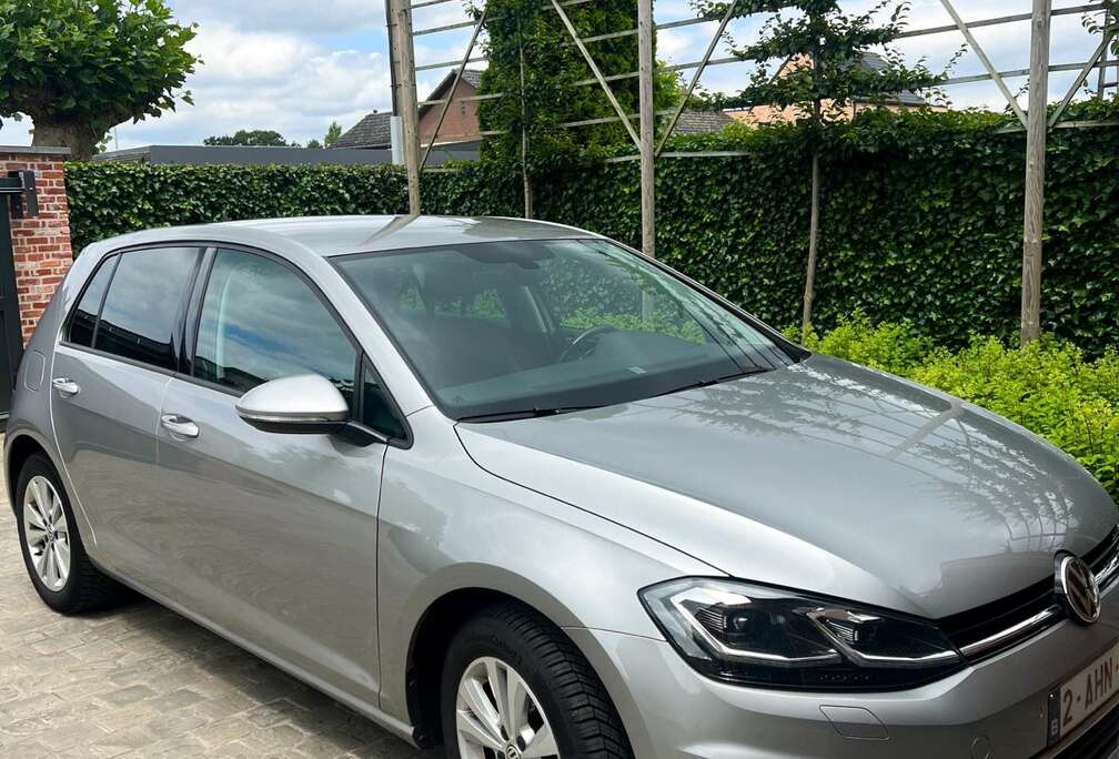 Volkswagen 1.6 TDI SCR DSG Trendline