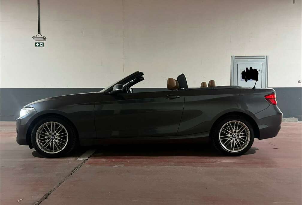 BMW Cabrio 220iA OPF (EU6c)