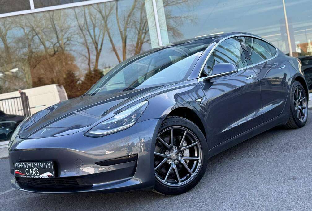 Tesla Long-Range Dual Motor / GREY / 360CAM / ZETELVERWARMING / PANO /