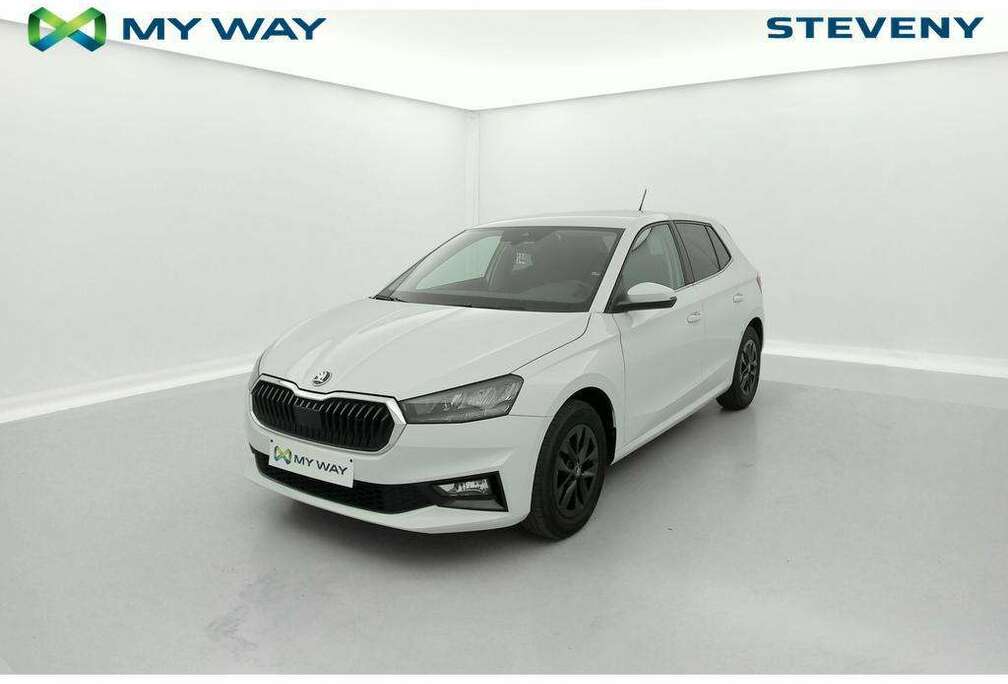Skoda 1.0 TSI 95 Selection