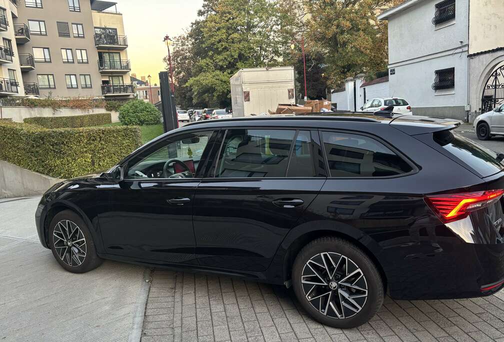 Skoda Combi 2.0 TDi Selection DSG