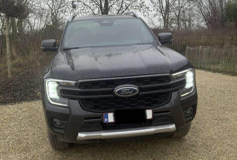 Ford 2.0 EcoBlue e-4WD Wildtrak