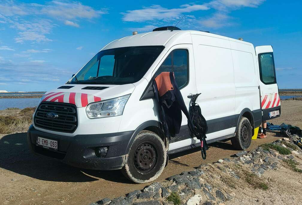 Ford 2.0 TDCi L2H2 Trend