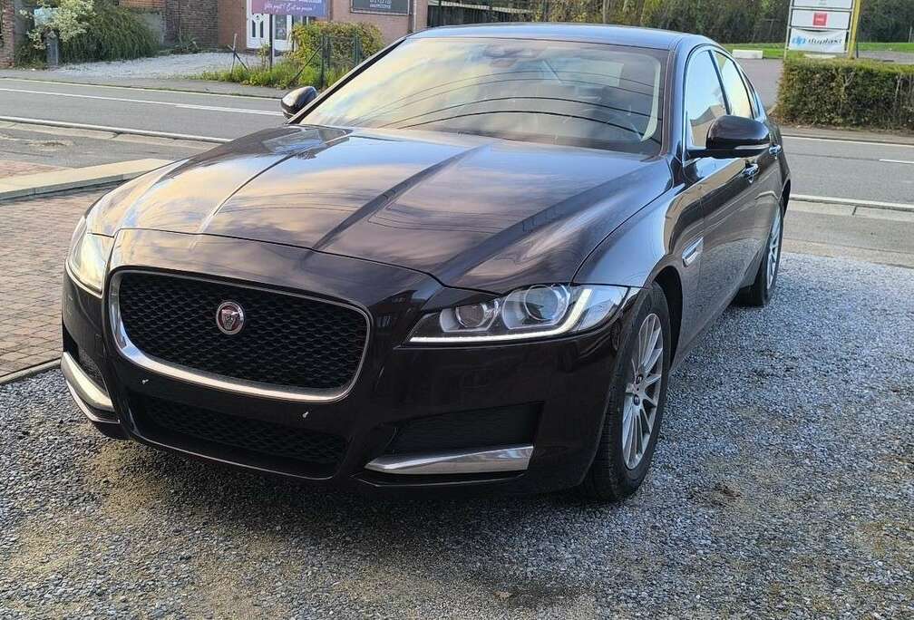 Jaguar 2.0 D - 163 ch E-Performance Pure