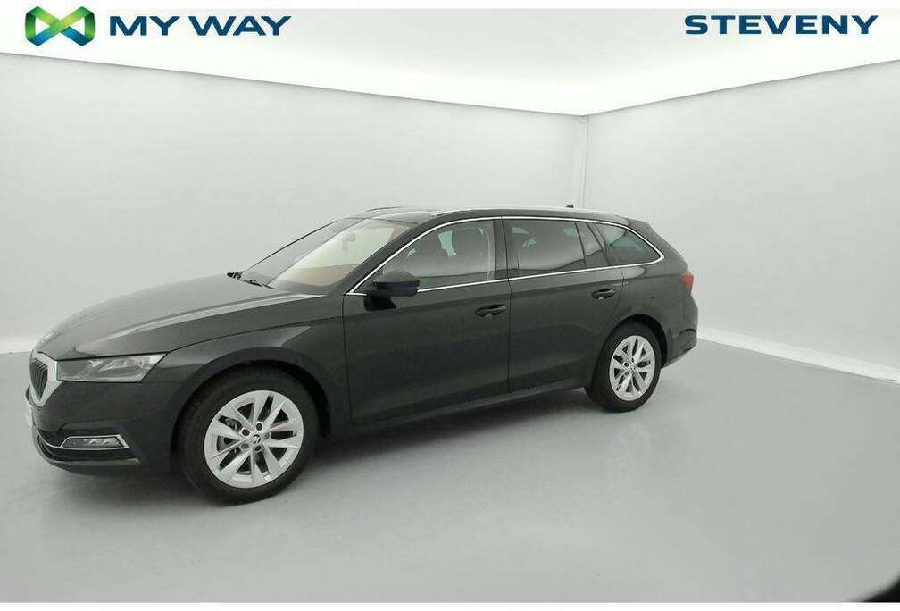 Skoda Clever 2,0 TDI 85 kW 7-speed automat.