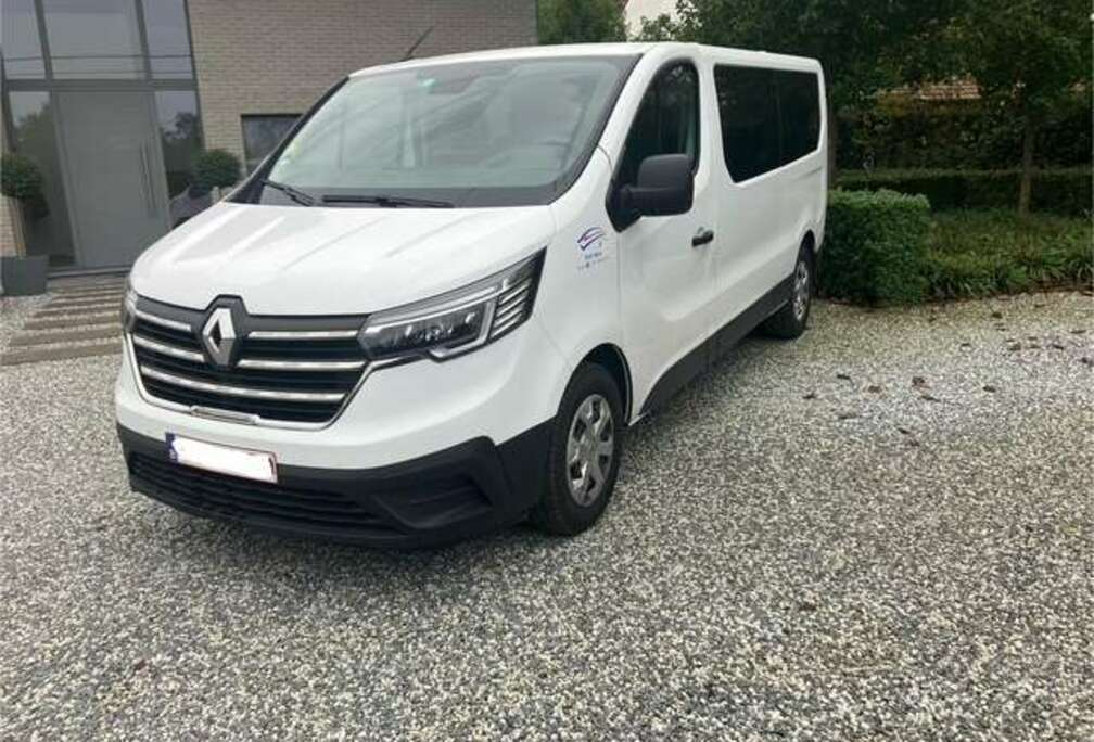 Renault 2.0 dCi 29 L2H1 Business (Fleet)