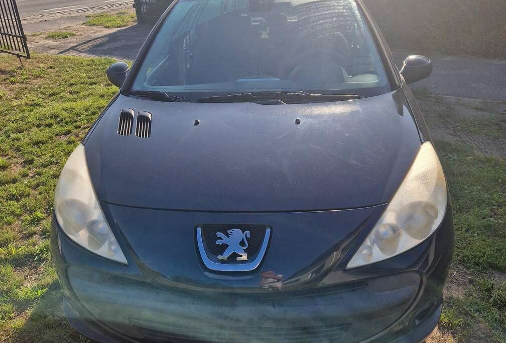 Peugeot 206+ 60