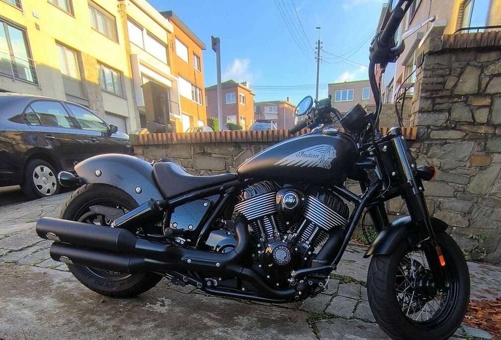 Dark Horse Chief Bobber