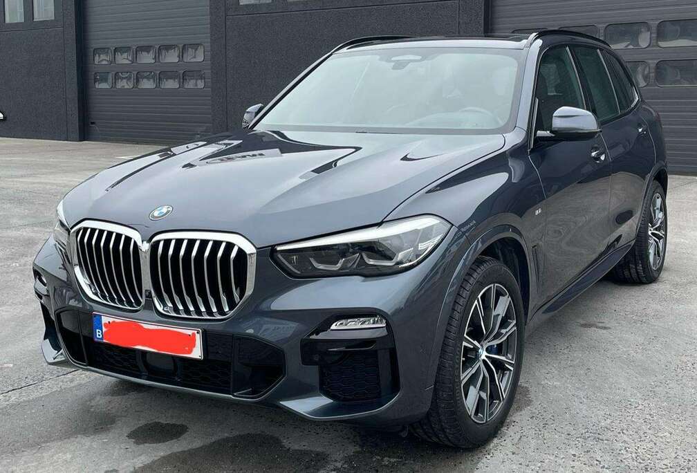 BMW X5 xDrive30d xLine