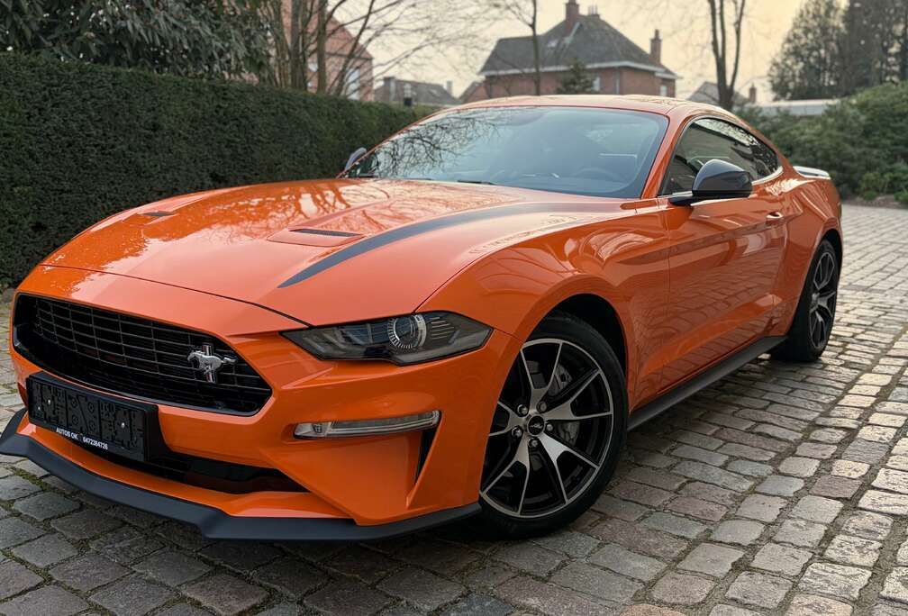 Ford 2.3 EcoBoost Fifty Five Years  ### 16000 km ###