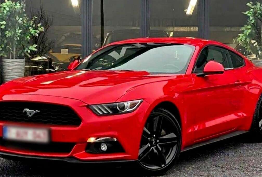 Ford 2.3L - 317cv - RED RACE - carnet ford