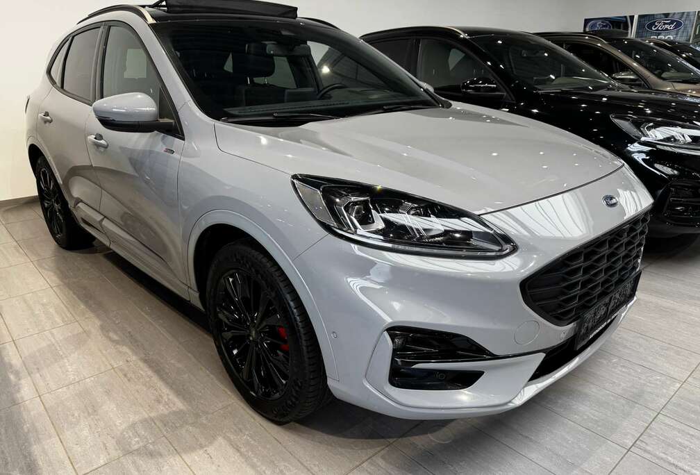 Ford ST-Line X Graphite Tech Edition Pano Dak / 19\