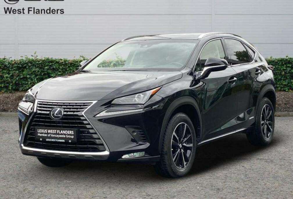 Lexus Business Line Plus+afn trekhaa