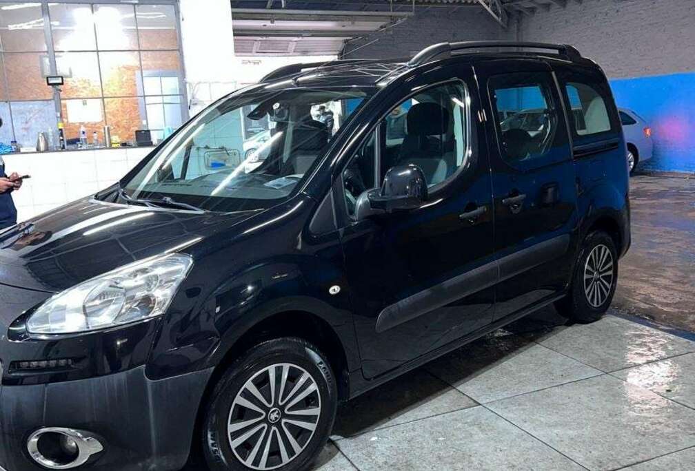 Peugeot Tepee 1.6i Active
