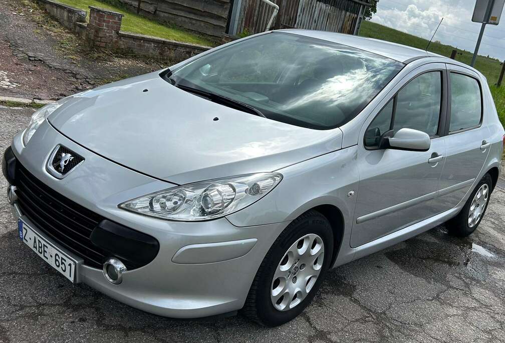Peugeot 1.6i prêt à immatriculé 12mois garanti