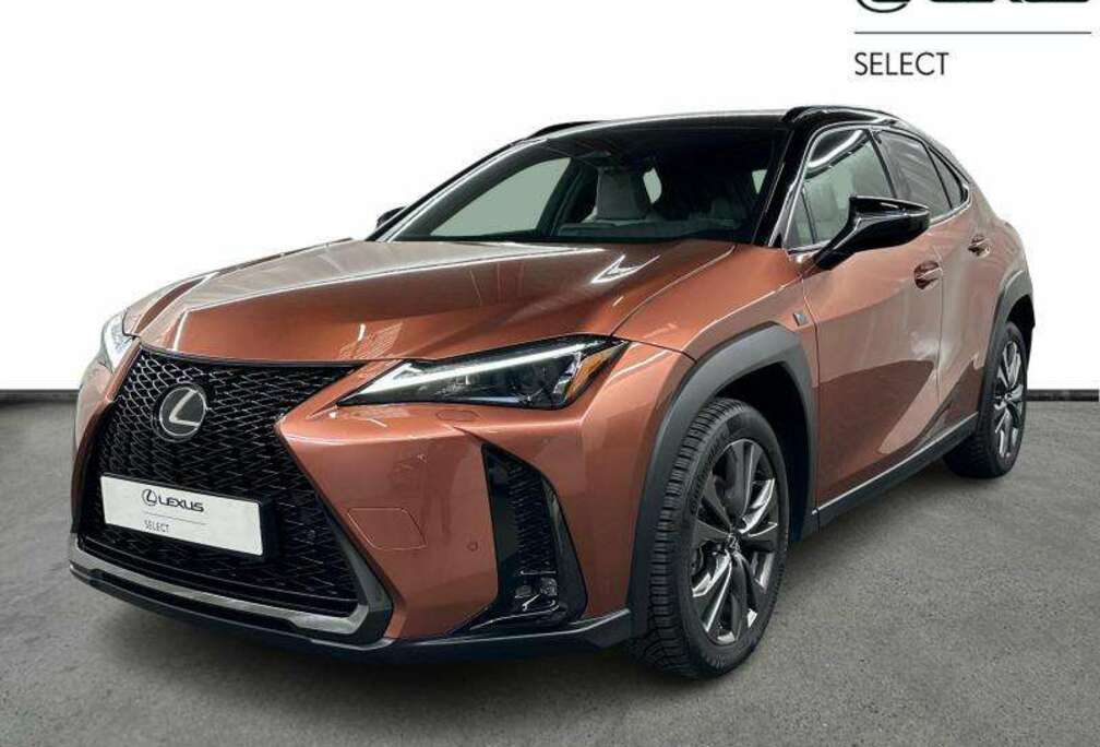 Lexus F-Sport Design  winter pack  all season tyres