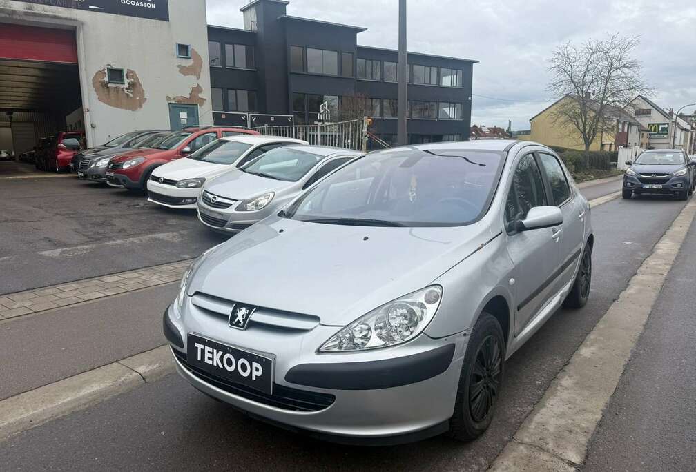 Peugeot 307 90 Grand Filou