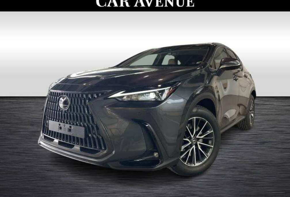 Lexus Executive