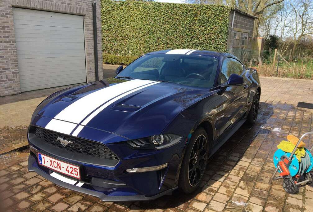 Ford Mustang 2.3 EcoBoost (EU6.2)