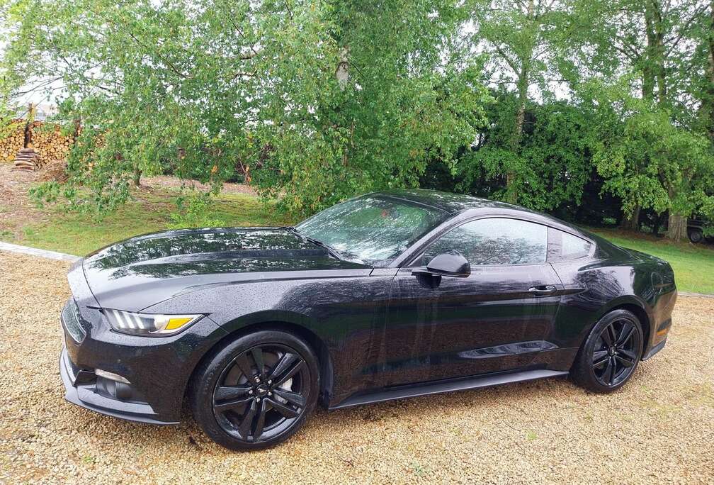 Ford 2.3 EcoBoost
