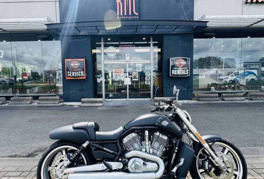 Cruiser - VROD MUSCLE