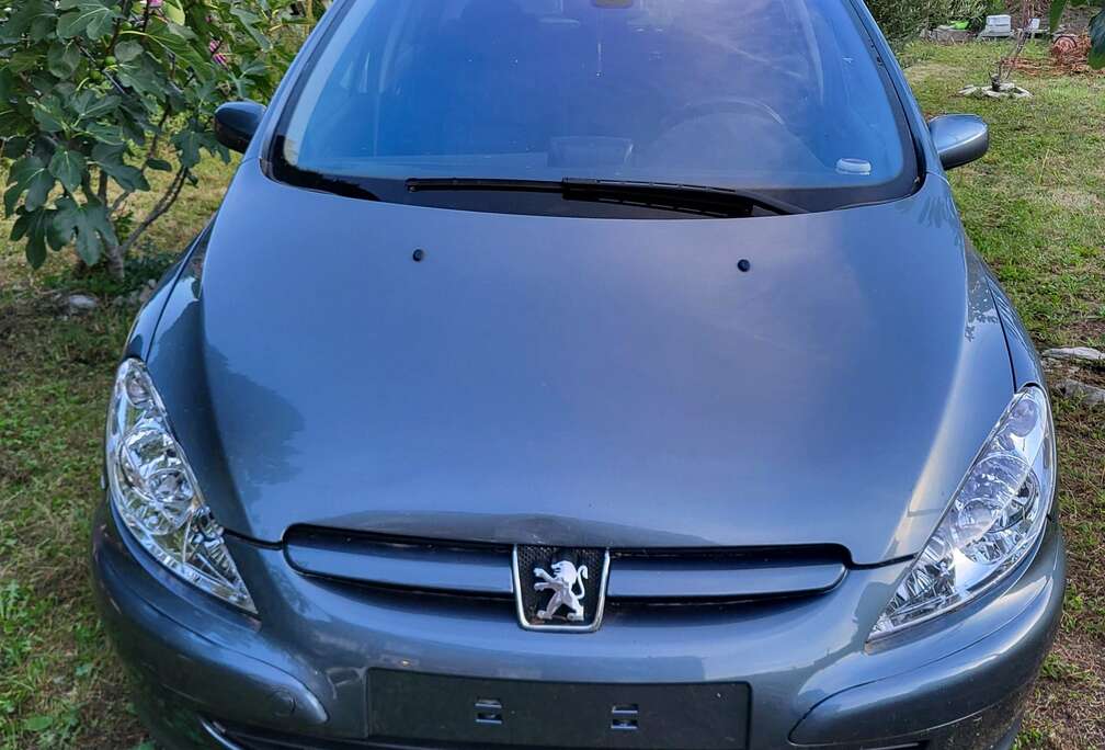 Peugeot 307 1.6i 16v XS