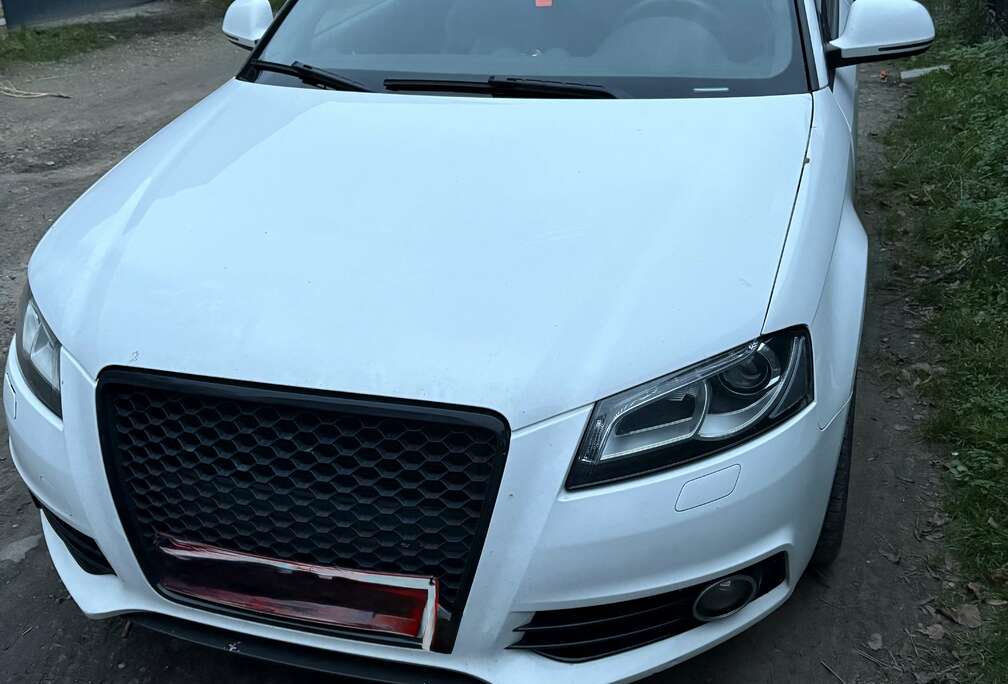 Audi 1.9 TDI DPF S line Sportpaket (plus)