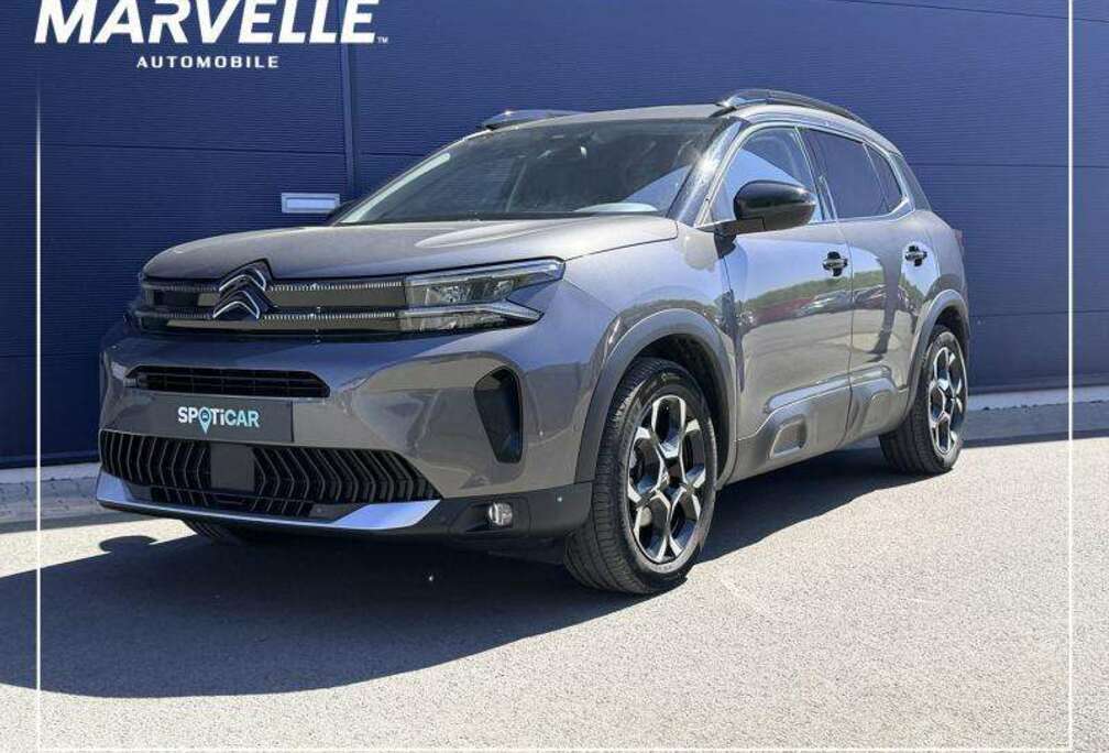 Citroen MAX - Hybrid 145