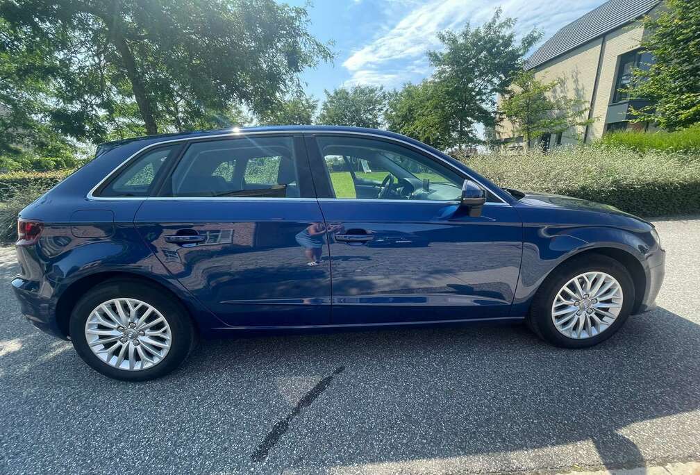 Audi A3+1.6+TDI+Ambition