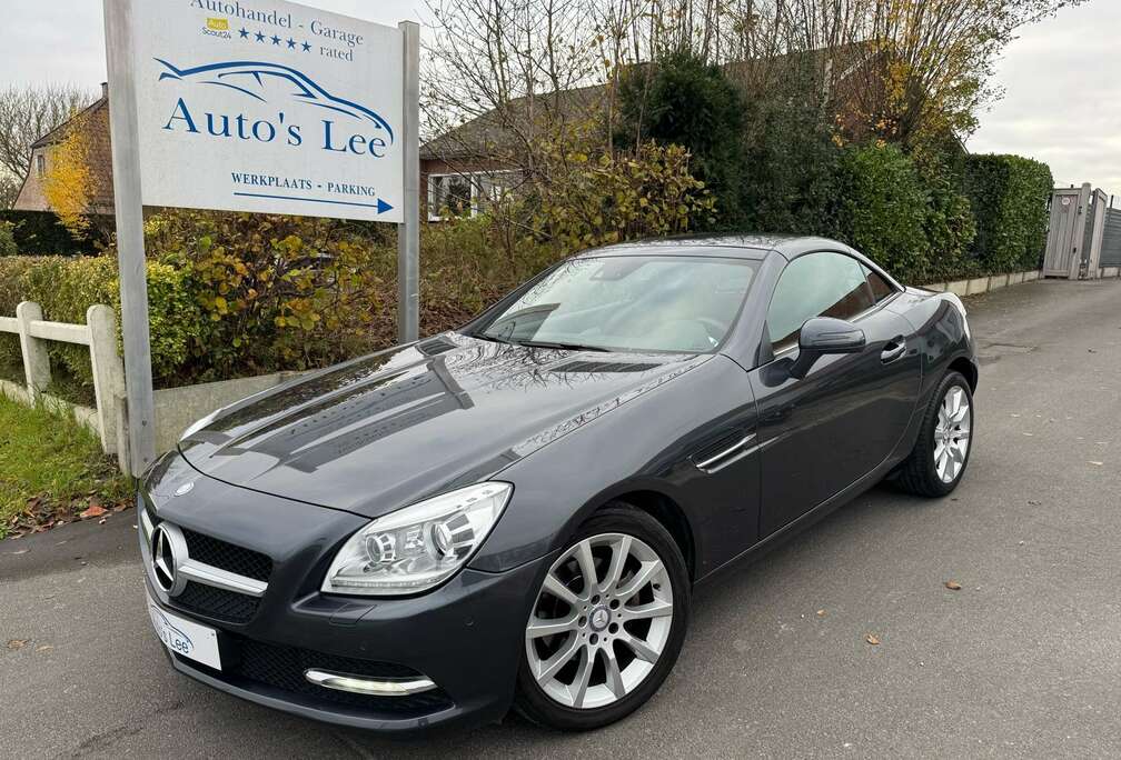 Mercedes-Benz BlueEFFICIENCY nekwarming/sportstoelen/bi xenon/..