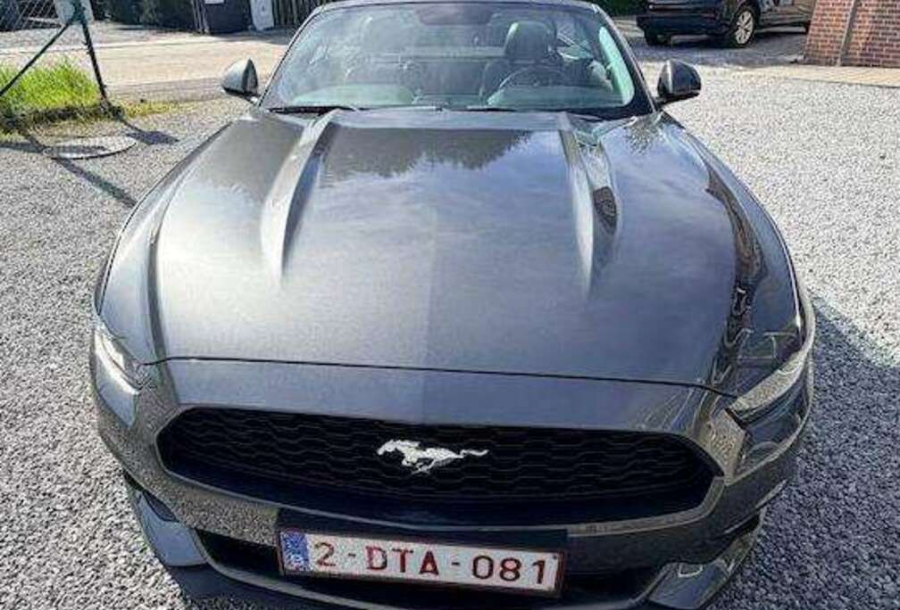 Ford Mustang Convertible 2.3 EcoBoost