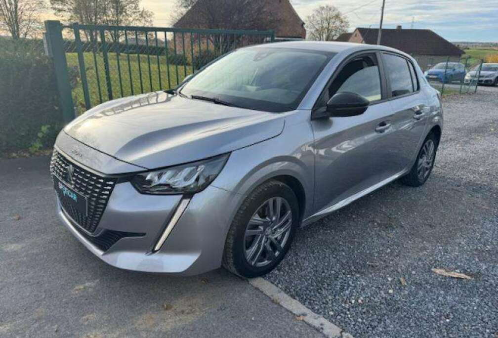 Peugeot II & e- Active Pack