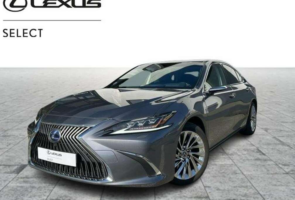 Lexus Privilege Line